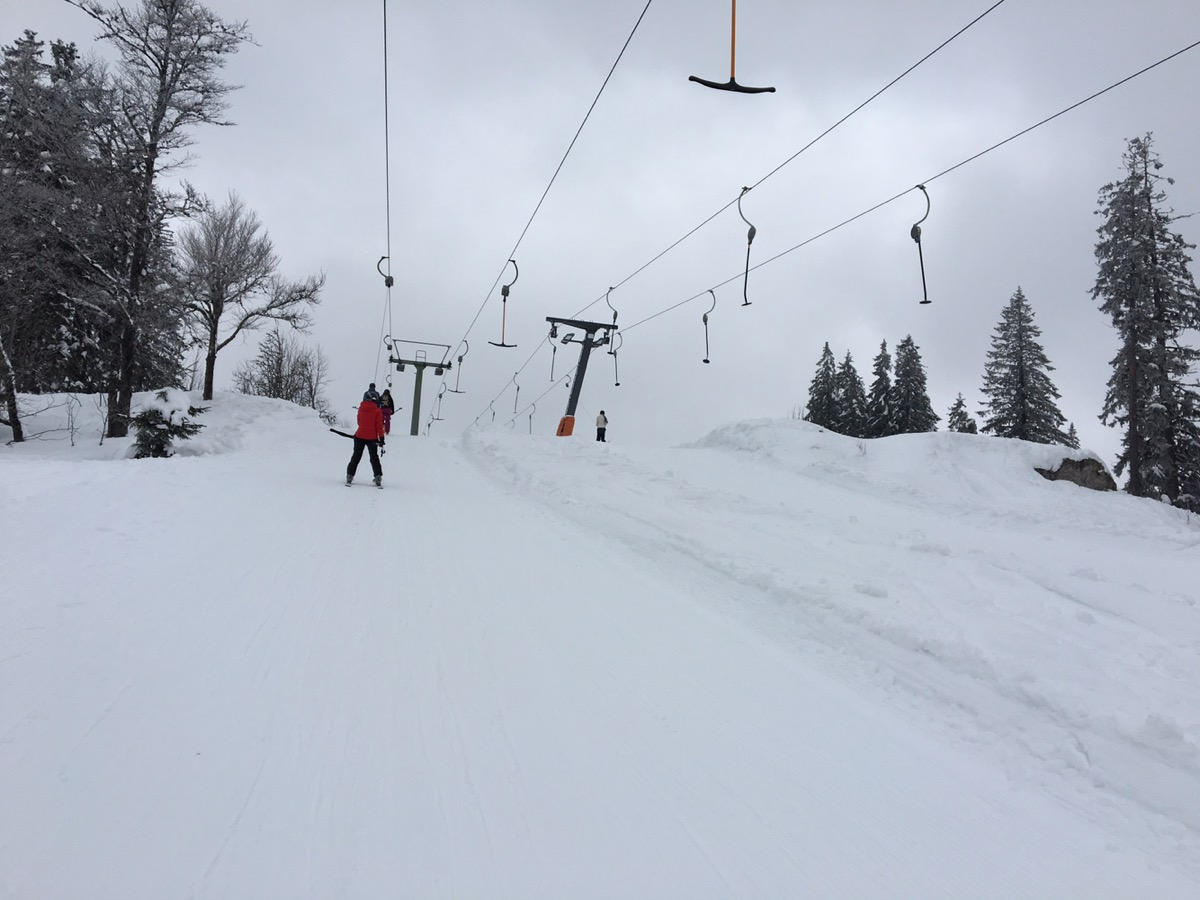 Feldberg T-bar